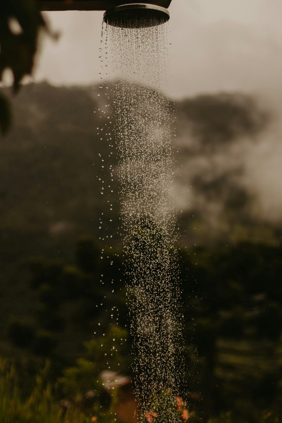 Rainfall shower head running in soft evening light